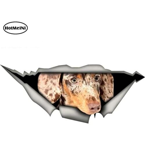 HotMeiNi 13cm x 5.5cm Double Chocolate Mini Dachshund Guinea Car Sticker Torn Metal Decal Reflective Stickers Pet Decals
