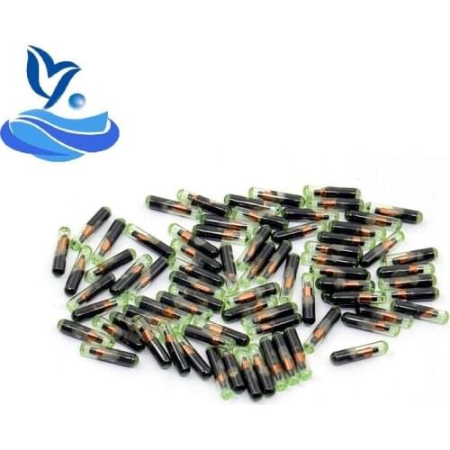 Professional ID48 ID:48 ID 48 Glass Transponder Chip key transponder chip id48 id 48 megamos crypto chip