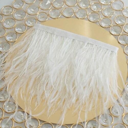 10 Yards Natural Ostrich Feather Trim Ribbon White Fringe 10-15cm for Wedding Clothing Dresses Decoration Sewing Accessories