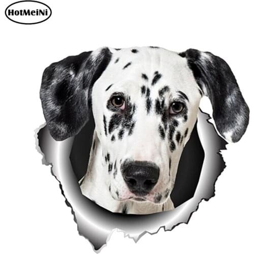 HotMeiNi 13cm x 12.5cm Dalmatian Car Sticker Torn Metal Car Hood Decal Reflective Stickers Animal Car Styling Funny Dog Decal