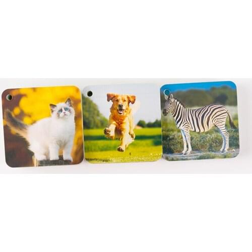 English Animals Flashcards Word Card Early Learning Education Games Toys for Children Pocket Card Flash Cards Baby Gifts Kids