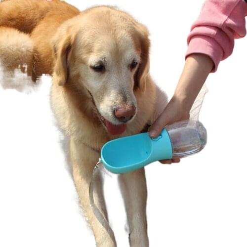 Dog Water Bottle Pet Simple Sink Leak-Proof Water Lock Button Filter Element Silicone Sealing Ring Transparent PC Body 280ml