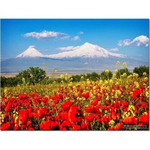 Poppies Background Of Mount Ararat Mosaic Full Square Round Drill 5D Diy Diamond Painting Sale Landscape EmbroideryZP-4196