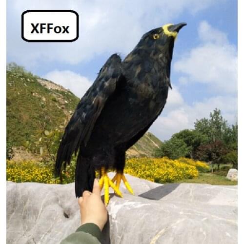 Big real life black eagle model foam&feather simulation little wings eagle bird doll gift about 50x40cm xf0832