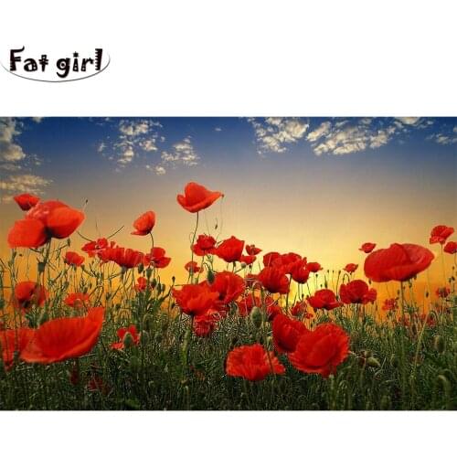 Sunset 5D diamond painting natural scenery square round decorative cross stitch Poppy flower embroidery mosaic Decorative Art
