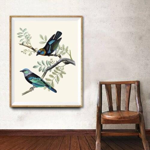 Tanager Bird Print Golden Hooded and Masked Tanagers Vintage Illustration Poster Bird Wall Art Canvas Painting Living Room Decor