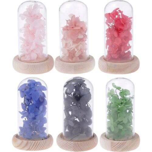 Dried Flower In Glass Bottle Never Withered Flower MicroLandscape