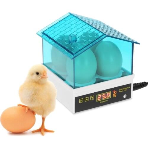 Mini Household Intelligent Automatic Egg Incubator Temperature Control Hatcher for Hatching Chicken Duck Quail Poultry 4-Eggs