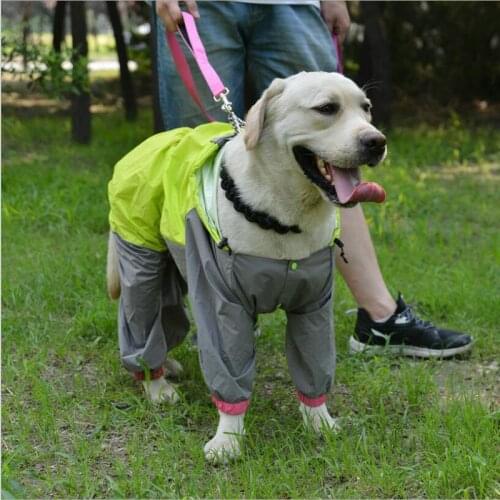 Jusenda Clothes And Footwear For Dogs