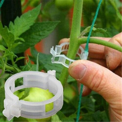 50pcs Tomato Garden Plant Support Clips for Trellis Twine Greenhouse Tomato Veggie Garden Plant Clip Supplies