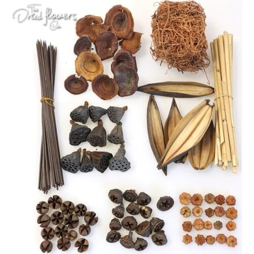 Dried Plant 9piece Set Specials Koko Moss Mini Chiruni Pod Mini Eucalyptus Mini Putka Pod Mini Boat Golden Mushromm Bamboo Stick