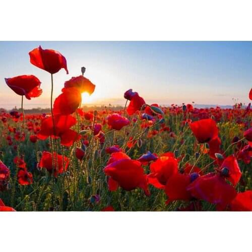 Diamond Embroidery Red Poppy sunset landscape 5D DIY Diamond Painting Flower sea Full Square Rhinestone Mosaic Decoration GH484