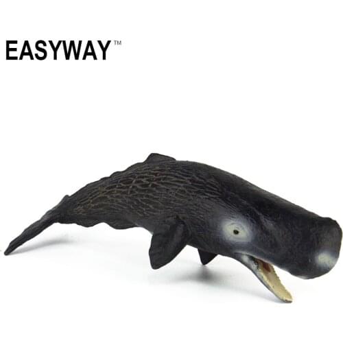 Mr.Froger Cachelot Pot Sperm Spermacet Whale Wild Animals Toys Set Zoo Modeling Plastic PVC Solid Classic Toys Children GiftS