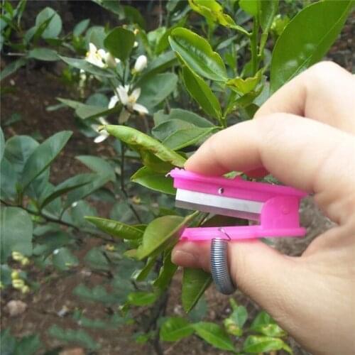 Vegetable Thump Knife Separator Vegetable Fruit Harvesting Picking Tool for Farm Garden Orchard #40