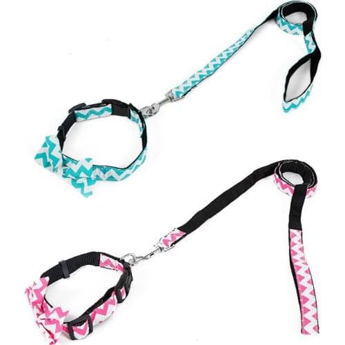 Cute Adjustable Dog Collar And Leash Set
