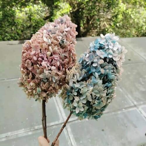 15-20cm flower Head,Preserved Real Hydrangea with stem,Gradient Color Splicing display flowers for Wedding party Home Decor
