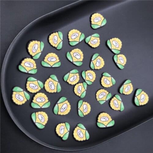 50g Corn Polymer Clay Slices Sprinkles for Kids Diy,Craft/Nail Art/Scrapbook Decoration,Filler Polymer Clay Embellishments