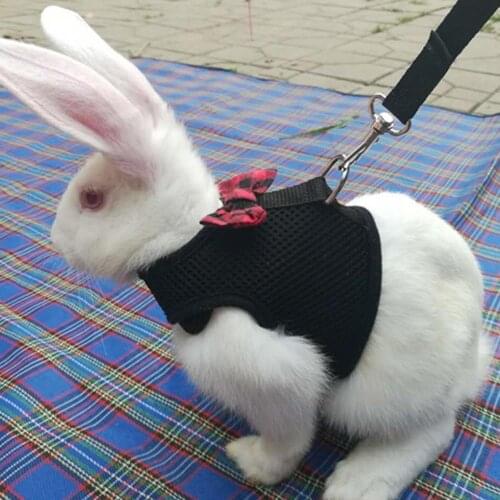 Rabbit Hamster Chest Strap Vest Harness Walking Leash Traction Rope Harness Vest Pet Supply Harness Leash Set For Small Animals