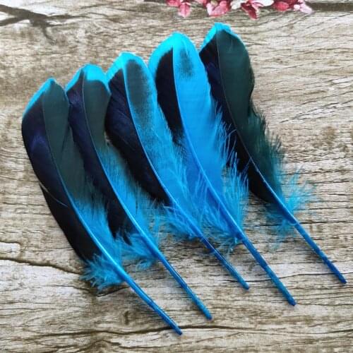 Wholesale 20pcs Beautiful 10-15 cm/4-6 inches Sky Blue Natural Duck Feathers DIY Jewelry Clothing Hat Decoration Accessories