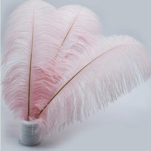 Wholesale Dye White/Light Pink Ostrich Feathers 45-50cm 18-20" Craft Wedding Party Supplies Carnival Dancer Decoration Plumages