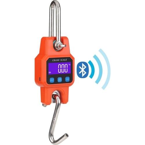 WeiHeng 300kg/50g Rechargable LCD Display Screen Electroni Hunting Scale High Precision Hoisting Scale Industrial with Backlight