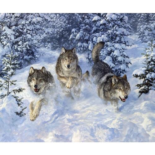 New Embroidery Counted Cross Stitch Kits Needlework - Crafts 14 ct DMC DIY Arts Handmade Decor -wolves