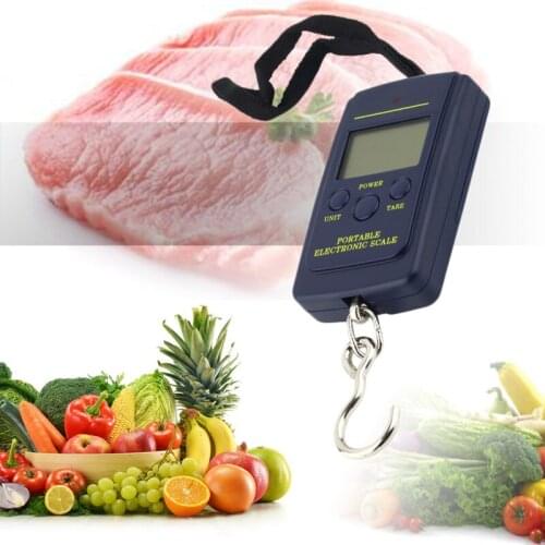 5pcs 40kgx10g Portable Mini Electronic Digital Scale Hanging Fishing Hook Pocket Weighing 10g Scale the Balance of Kitchen