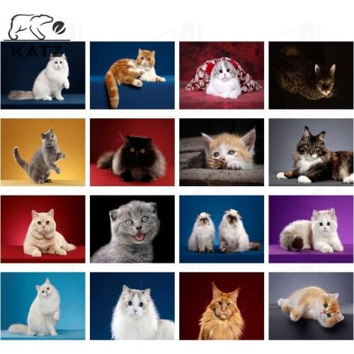 Chubby Cute Cat Picture Diamond Painting Cross Stitch Modern Favorite Persian Cat Handmade Diy Diamond Embroidery Decoration