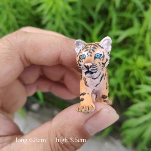 CE identification Baby Bengal tiger Siberia tigerBaby Animal simulation Collection of toys