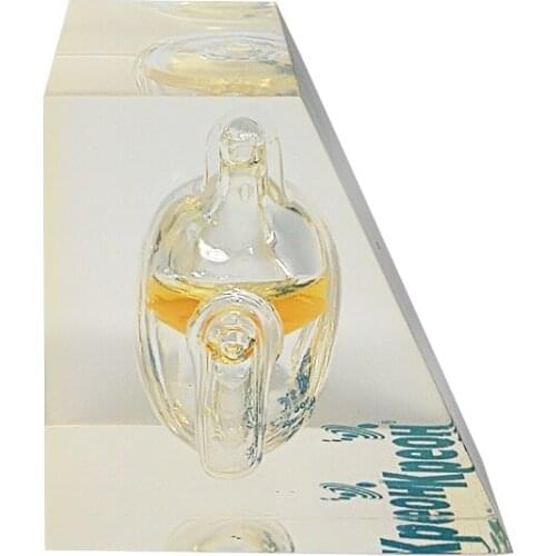 Crafts medical paperweight resin craft Souvenir display