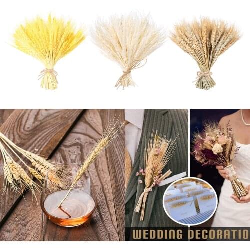100 Stems Real Dried Wheat Ear Dried Flowers Party Decoration Wheat Sheaves