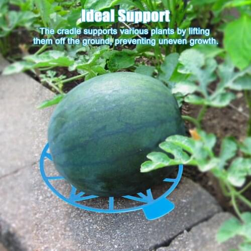 5pc Plastic Watermelon Cradle Potato Strawberry Planter Planting Container Multi-mouth Container Holder Support Protector
