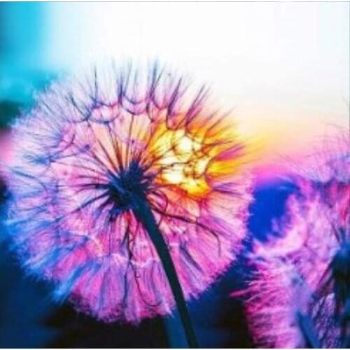 5D Diamond Painting Sunset Dandelion Landscape Diamond Embroidery Kit Home Decor Children DIY Crafts