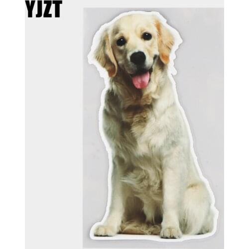 YJZT 10×17.9CM Cute Golden Retriever Animal Car Sticker Creative Auto Bumper Decoration Decals 21A-0016