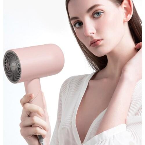 JRM0374 Lowra Rouge Household Hair Dryer Dormitory Negative Ion Hair Care Low Radiation Intelligent Hair Dryer CL-221 New Gift