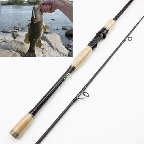 2.4m 2.7m lure rod 4 Sections Portable Travel Fishing Rod Carbon Fiber Rod Fishing Rods Casting Fast Action Trout pole pesca