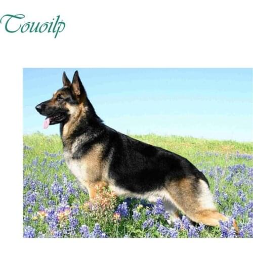 3D spuare Diamond Painting Cross Stitch Crystal 5D Diamond Mosaic Rhinestone Decorative Painting Icon Diamond Embroidery Wolfdog