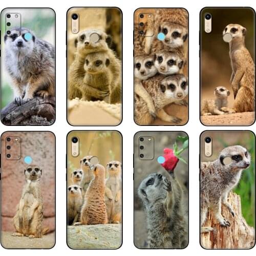 Black tpu Case For Honor 8a Prime 8s 9 10X Lite 9A 9C 9X Premium Pro 9S Case Cover animal mob of meerkats