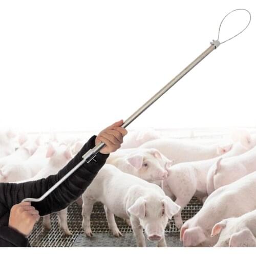 Livestock Long distance Pig equipment longboom set pig the beast Farm Stainless steel long rod set of pig Guinea Pigs