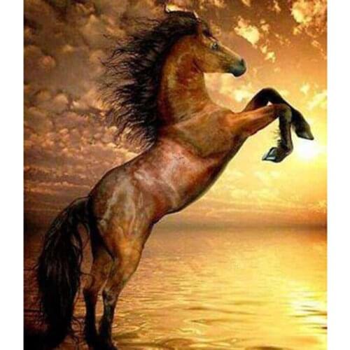 5D DIY Diamond Painting Animal Painting Square Round Diamond Horse Jumping Picture Cross Stitch Mosaic Home Decoration WG2770