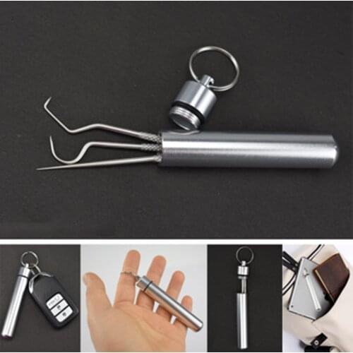 Stainless Steel Toothpick Aluminum Metal Toothpick Holder Decorative Portable Outdoor Toothpick With Reusable Food Fruit Picks