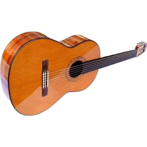 Special Fretless Classical Guitar SGP-405