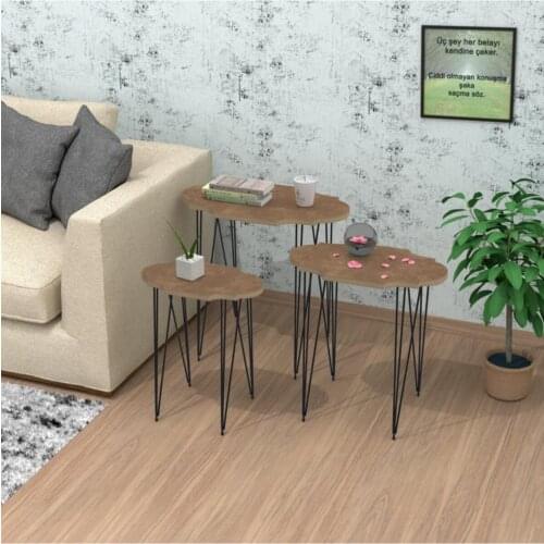 Modern Fish Larose Zigon Coffee table Mdfham 2li 45*40*26-40*30*20 coffe table