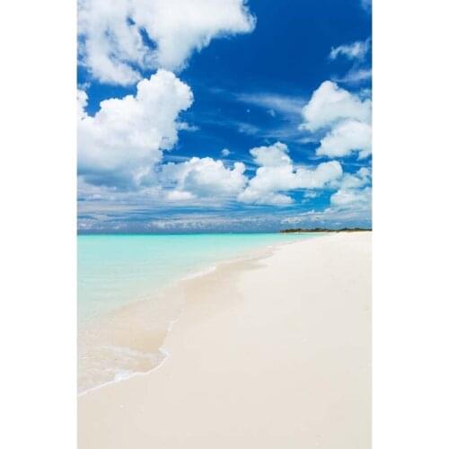 Vinyl Photography Background Computed Printed Ocean Beach Blue Sky Backgrounds for Photo Studio F-2738