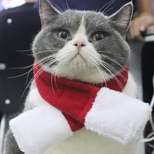 New Funny Christmas Clothes Warm Pet Dog Cat Clothes Puppy Santa Red Scarf Hat Deer Head Cute Dogs Cloak Cats Costume Home Decor