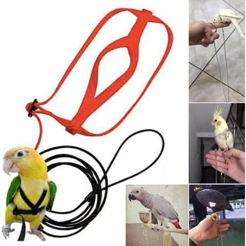 Anti-bite Flying Training Rope Parrot Bird Harness Kits Ultralight Harness Leashes Soft Portable Pet Playthings