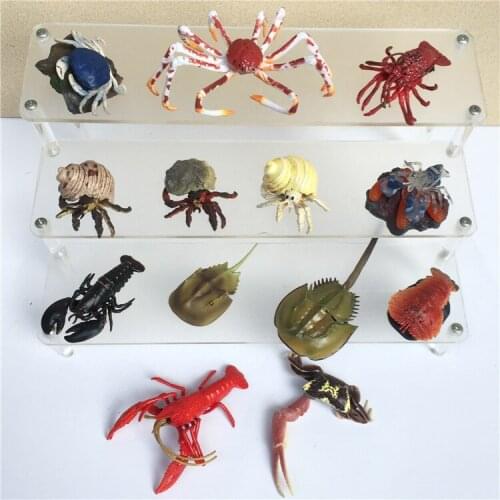 Small pvc figure Simulation Model nomorre yinghuanibang 5pcs/set