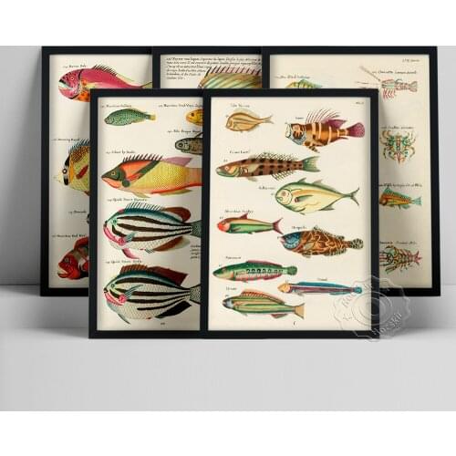 World Fish Louis Renard Poster, Whimsical Fish Marine Life Illustration, Vintage Fishing Prints, Water Color Sea Fisk Wall Decor