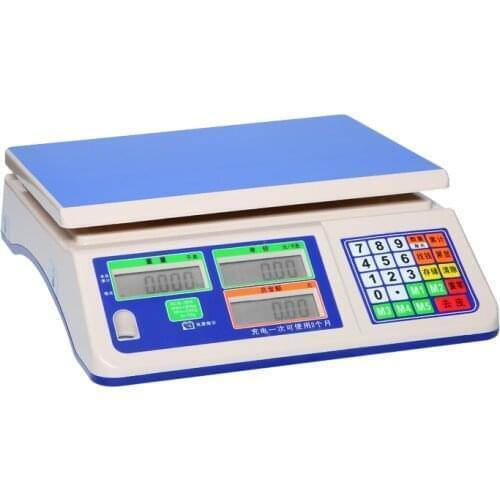 Weighing Scales Portable Price Computing Precision Scale Industrial Electronic Scale DZC-30A