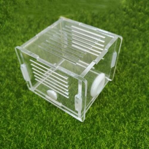 Acrylic Ant Nest Square Ant Farm Activity Area Climbing Pet Breeding Ornamental Box Ant Colony Breeding Box Diameter 18mm